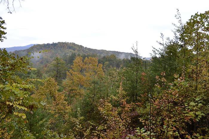 Vila Precious Moments Gatlinburg Exteriér fotografie